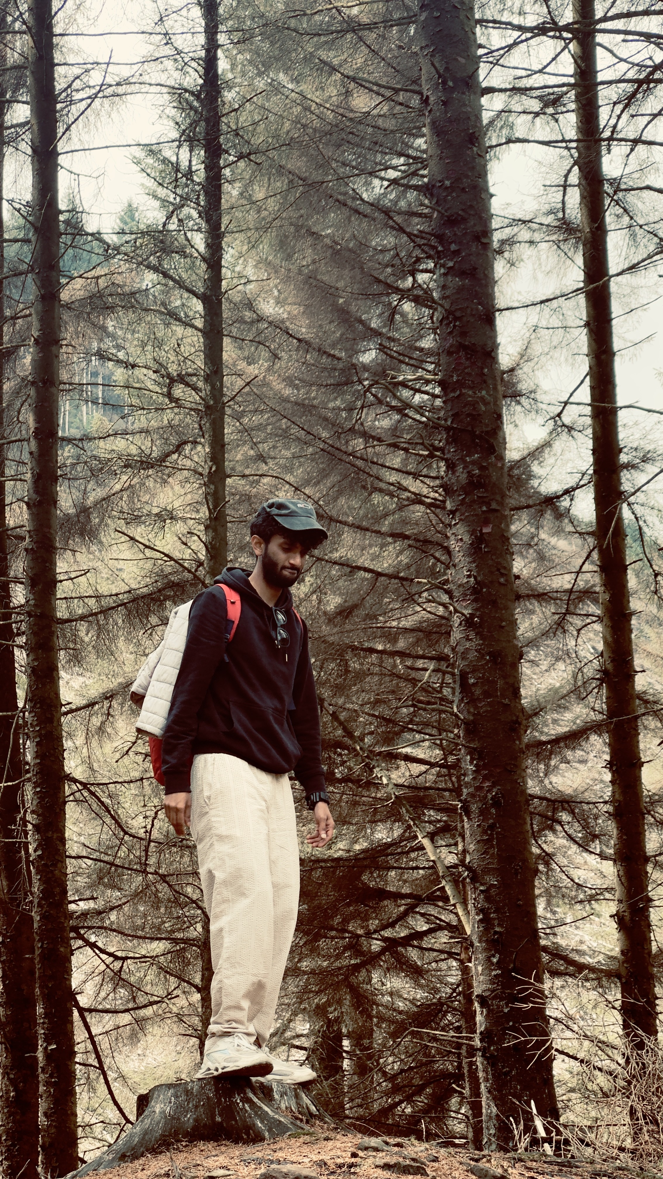 Advertising / PR Professional Matrimony Groom, customer reference - UK2025332094